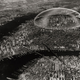 Image for article titled This Is What New York City Could Have Looked Like